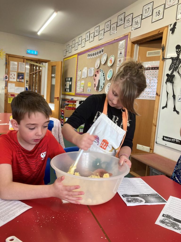 Firework Biscuits Whiteness Primary 3/4/5