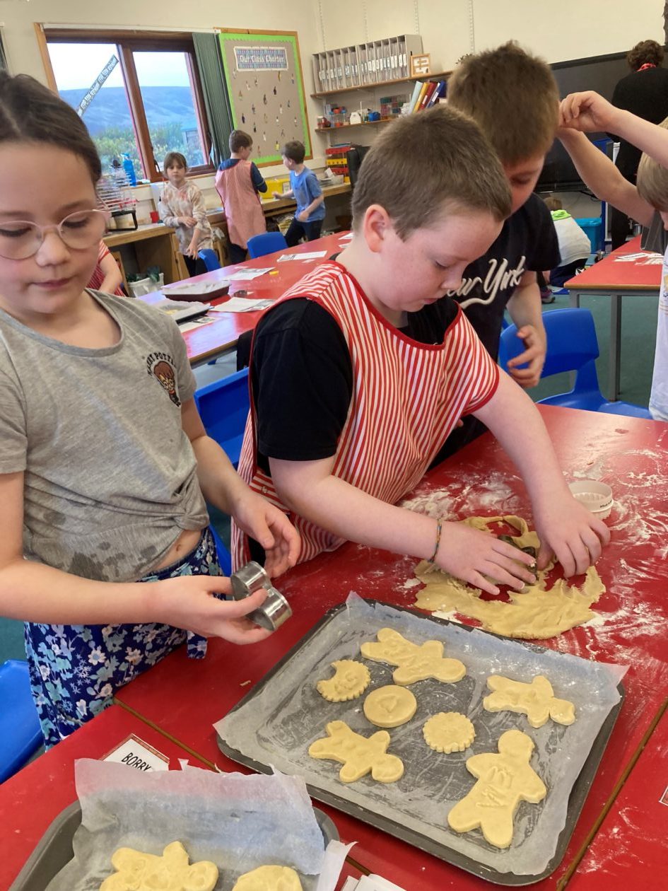 Firework Biscuits Whiteness Primary 3/4/5