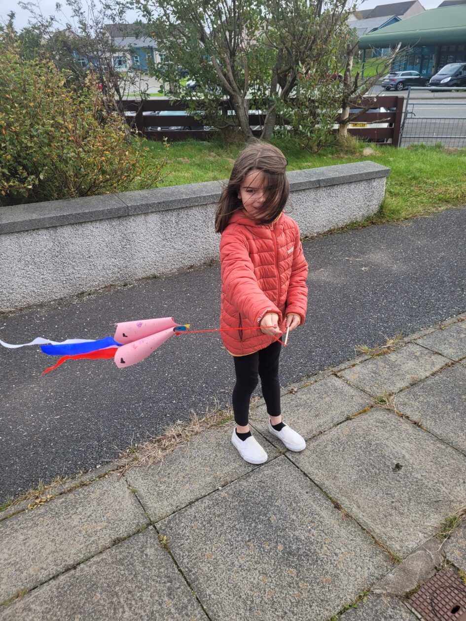 Kites, Wind Socks and Birds P3A 2024 2025