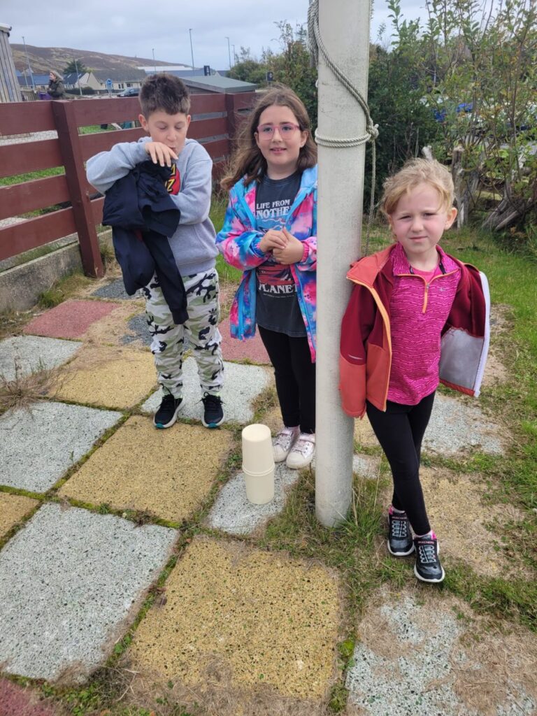 Kites, Wind Socks and Birds P3A 2024 2025