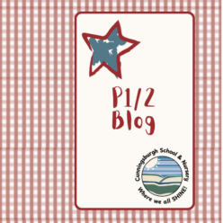CPS – P1/2 – 2026/27