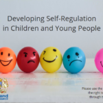click on image for link to Self Regulation iLearn module for SIC staff