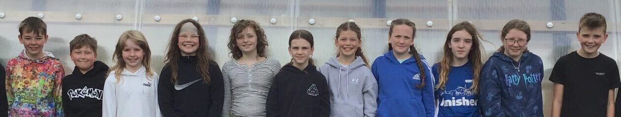 Whiteness Primary 7 Blog