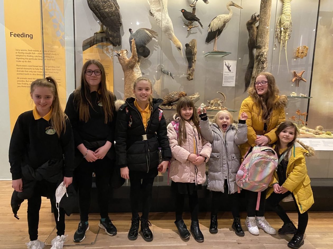 Abington Primary Carlisle Road, Abington ML12 6SD 01864 502341