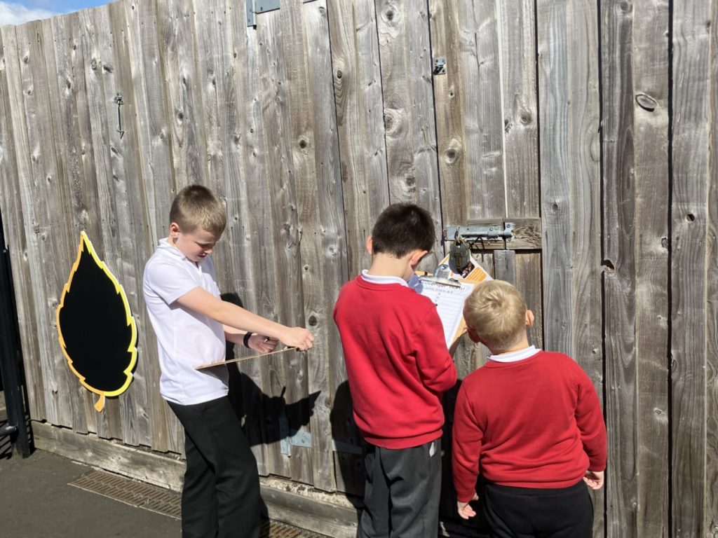 P7 Buddies Braidwood Primary School