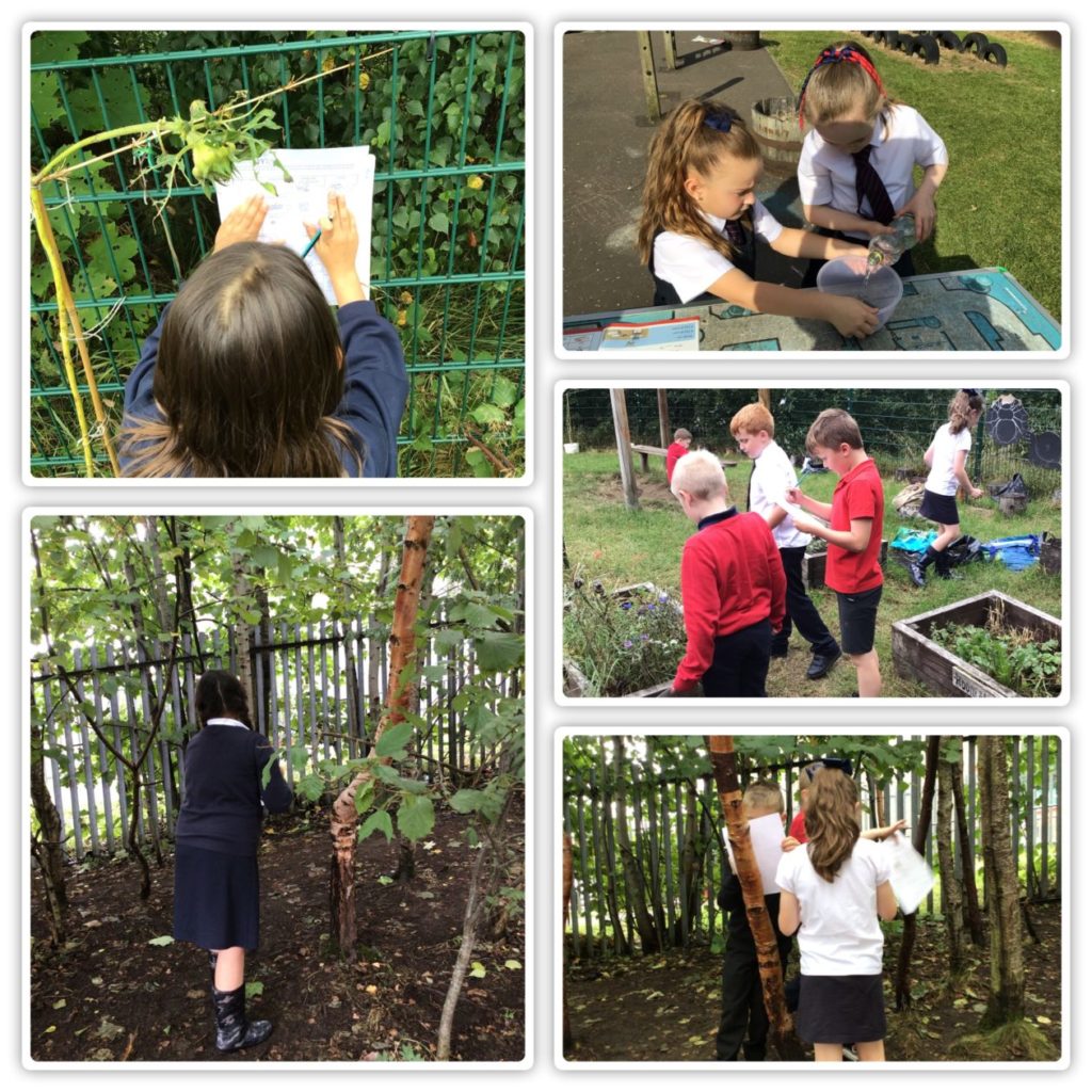 Opening hours/holidays