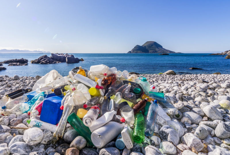 What Does Littering Do To The Environment?