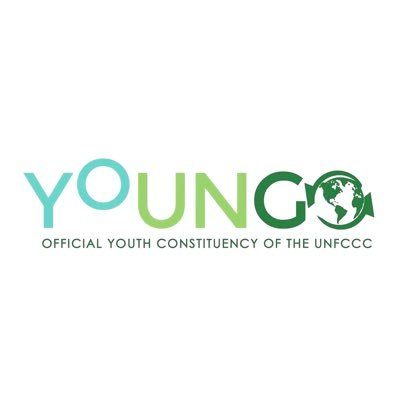 What is YOUNGO?
