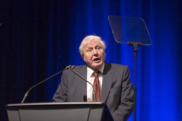 David Attenborough Urges The World To Push For Change