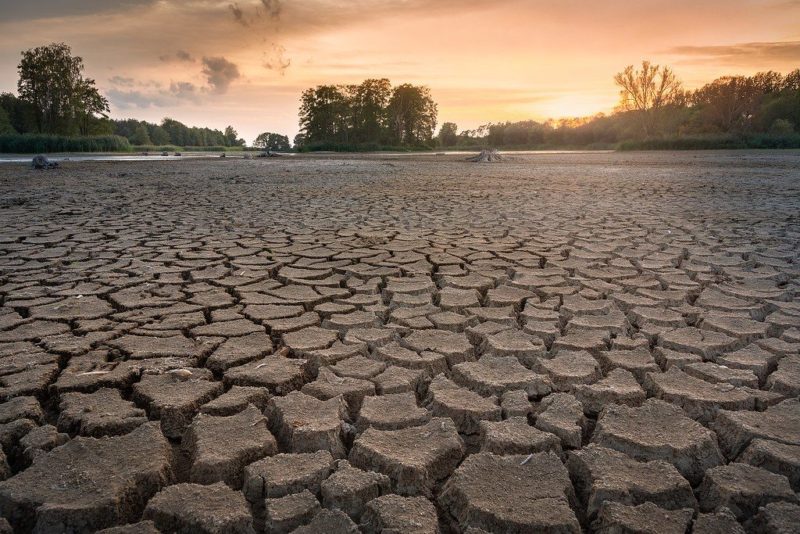 Drought, And Its Deadly Consequences