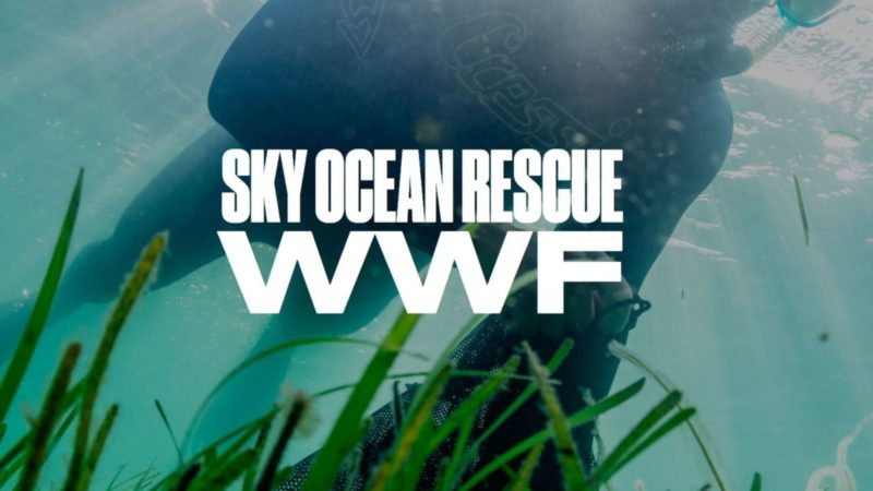 The Sky Zero and WWF Seagrass Project