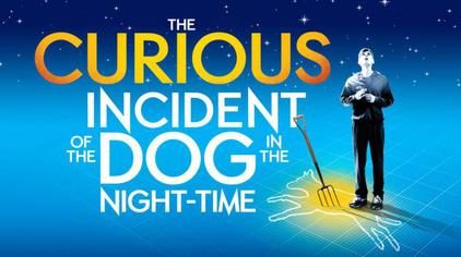Review: The Curious Incident of the Dog in the Night-Time