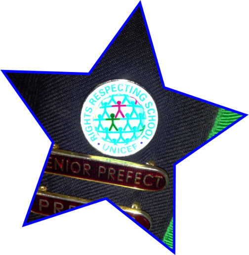 star-rrsa-badge