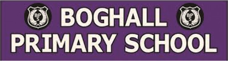 Boghall Primary School Blog