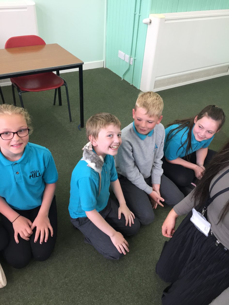 IMG_1735 Falla Hill High Flyers