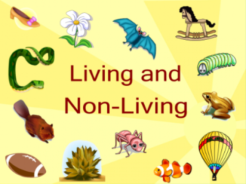 Topic 3 Living Things | P2F