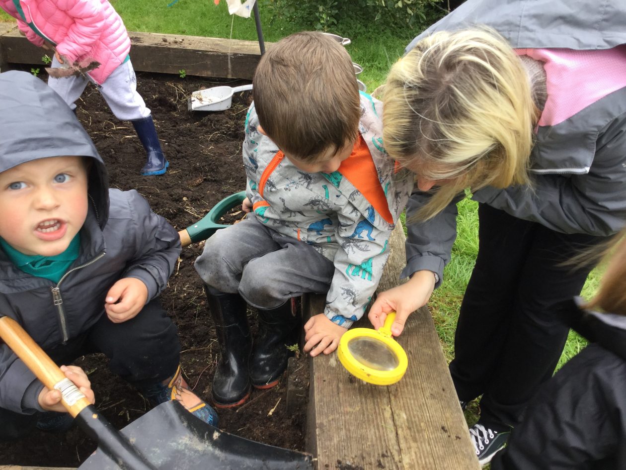 Discovering Minibeasts