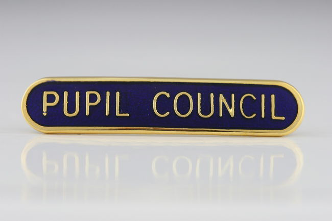 pupil council | St John the Baptist Primary School and Fauldhouse ...