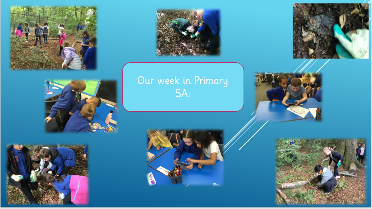 Primary 5A- 2nd September 2022