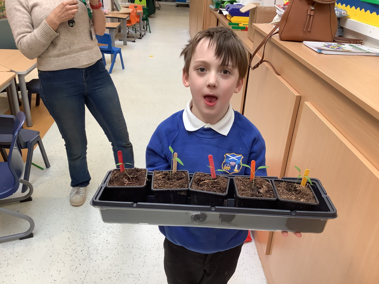 Primary 3 2 – Pumpherston And Uphall Station Cps Blog